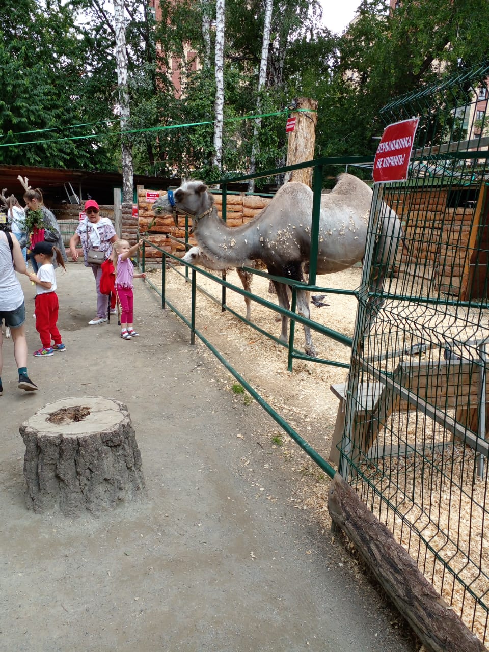 http://social.admnsk.ru/SiteKCSON/oktKCSON/DocLib7/WhatsApp Image 2022-07-04 at 13.12.26 (1).jpeg